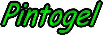 Pintogel